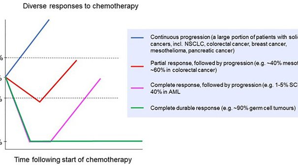 Cancer Research Reveals Chemo’s Molecular Strike Against Cancer Cells