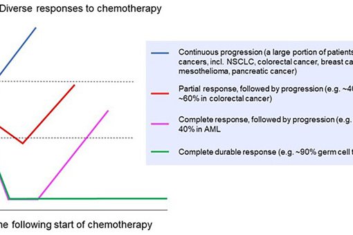 Cancer Research Reveals Chemo’s Molecular Strike Against Cancer Cells