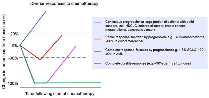 Cancer Research Reveals Chemo’s Molecular Strike Against Cancer Cells