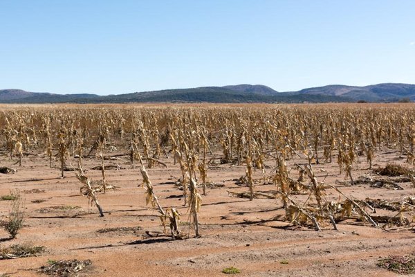 Severe Drought Crisis in Africa Deepens, Threatening Widespread Hunger and Food Shortages
