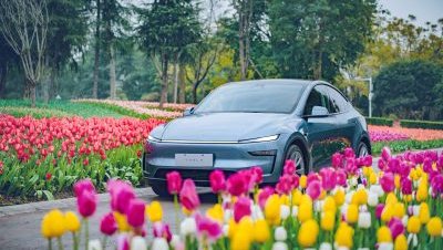 Tesla expands real-world Full Self-Driving testing with billions of new miles of data