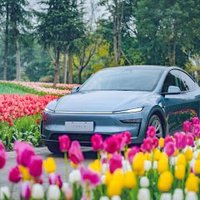 Tesla expands real-world Full Self-Driving testing with billions of new miles of data