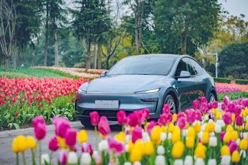 Tesla expands real-world Full Self-Driving testing with billions of new miles of data
