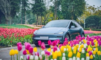 Tesla expands real-world Full Self-Driving testing with billions of new miles of data