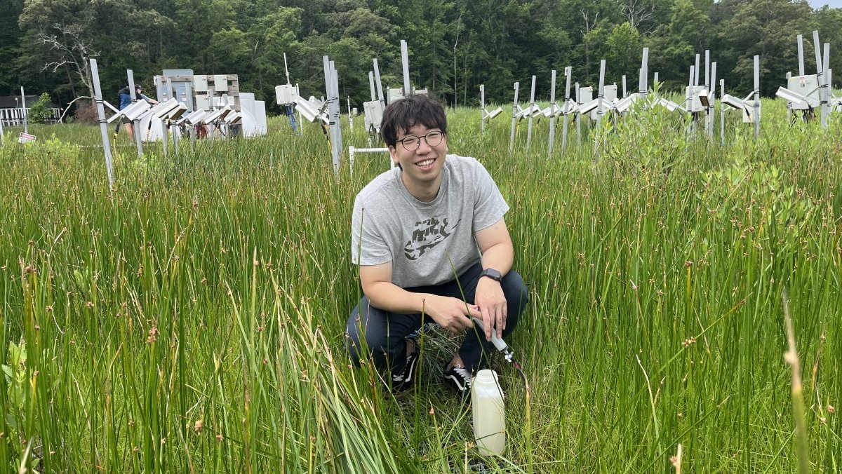 Hotter Temperatures Threaten Wetlands' Methane Controls