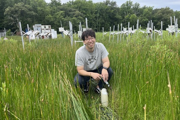 Hotter Temperatures Threaten Wetlands' Methane Controls