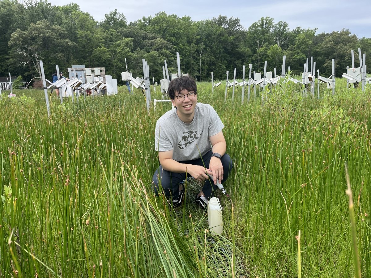Hotter Temperatures Threaten Wetlands' Methane Controls