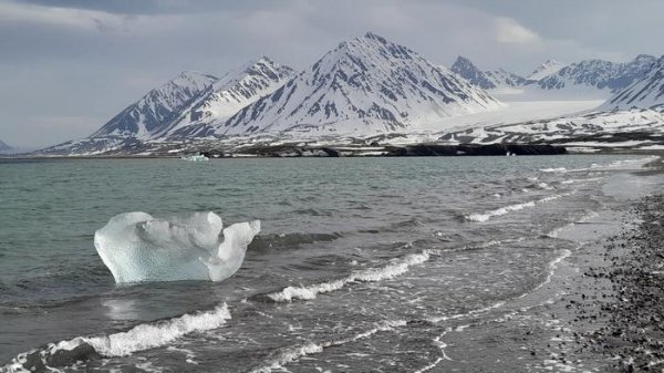 Arctic Meltdown Threatens Carbon Sinks: New Study Reveals Climate Change Impact on Polar Ecosystems