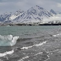 Arctic Meltdown Threatens Carbon Sinks: New Study Reveals Climate Change Impact on Polar Ecosystems
