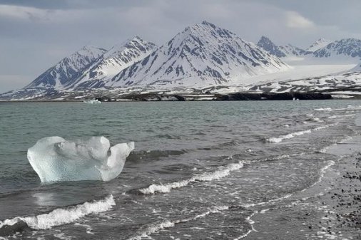 Arctic Meltdown Threatens Carbon Sinks: New Study Reveals Climate Change Impact on Polar Ecosystems